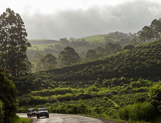 Turrialba