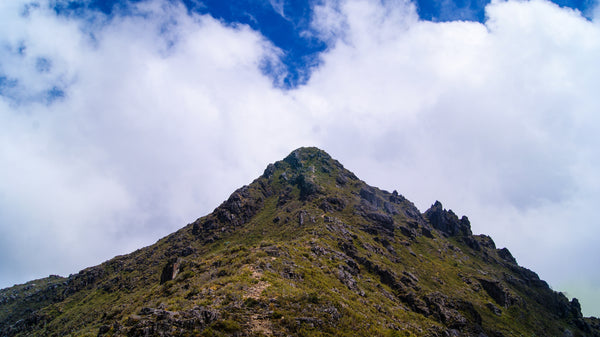 PARQUE NACIONAL CHIRRIPÓ