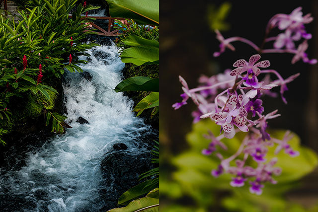 ARENAL VOLCANO