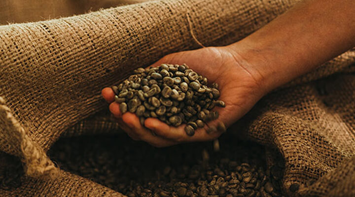 COFFEE BLENDS VERSUS SINGLE ORIGIN