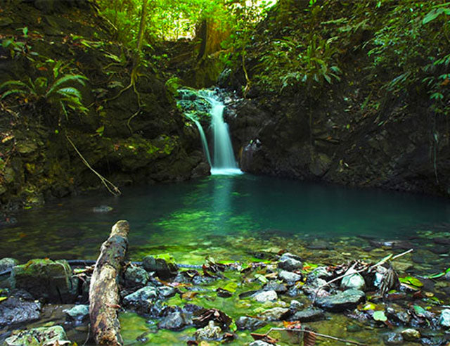 CORCOVADO NATIONAL PARK