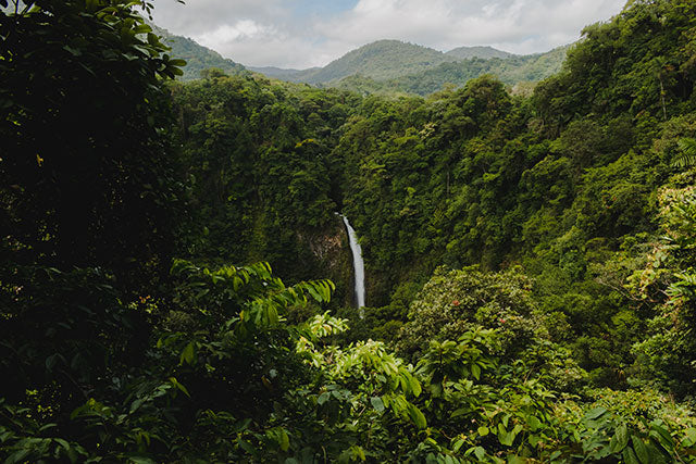 LA FORTUNA WATERFALL