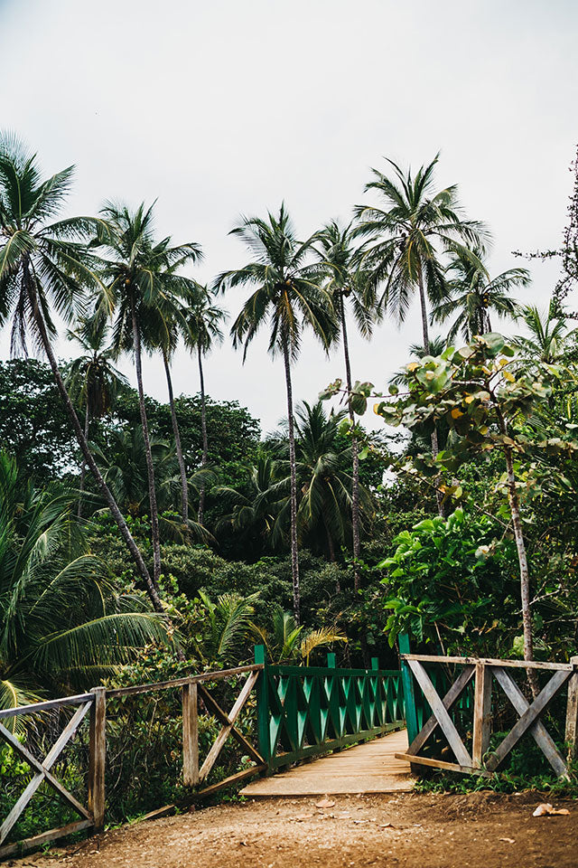 GANDOCA-MANZANILLO WILDLIFE REFUGE