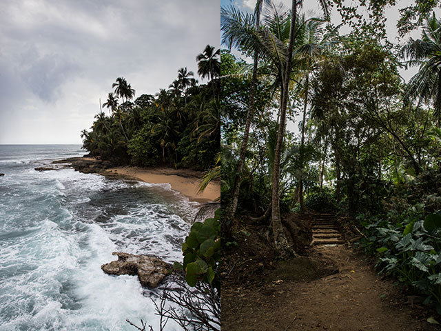 GANDOCA-MANZANILLO WILDLIFE REFUGE