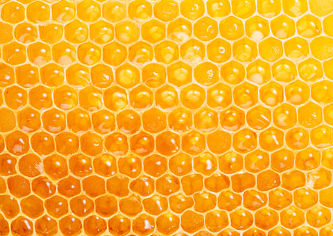 manuka honey