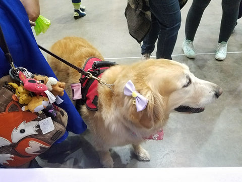 Magic the Service Dog, I see her at almost every con!