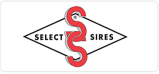 Select Sires - EfferCept Distributor 