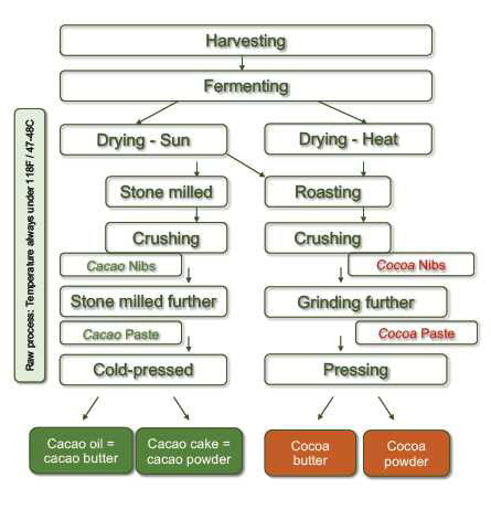 Cacao Processing