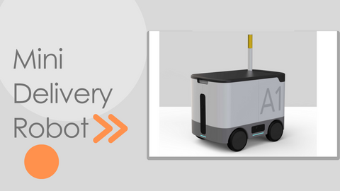 AFK Mini Delivery Robot