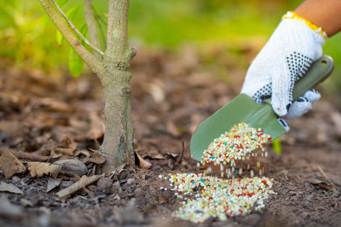 Fertiliser une haie