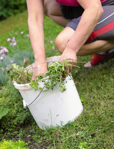 Couper les mauvaises herbes