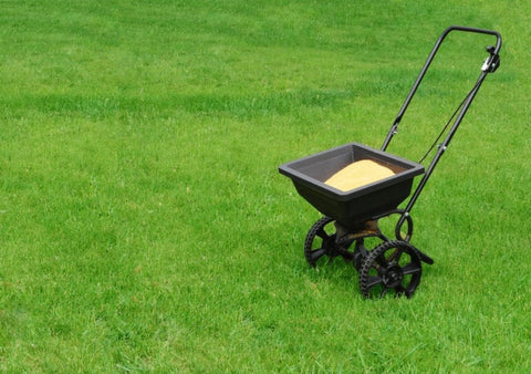 Fertiliser la pelouse en bonne quantité