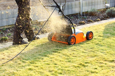 Scarifier correctement la pelouse