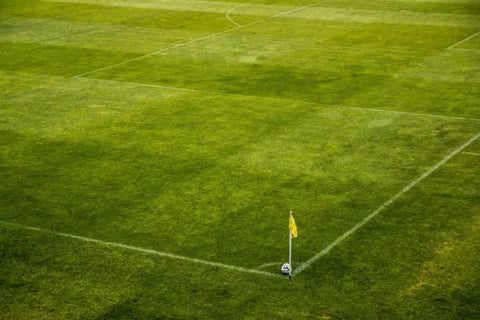 Herbe de terrain de football