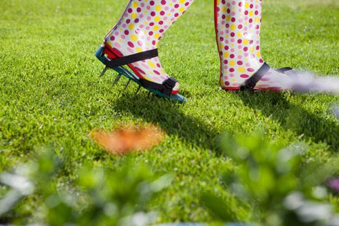 Scarifier les pelouses manuellement