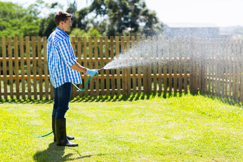 Innaffia il prato con un tubo e un irrigatore