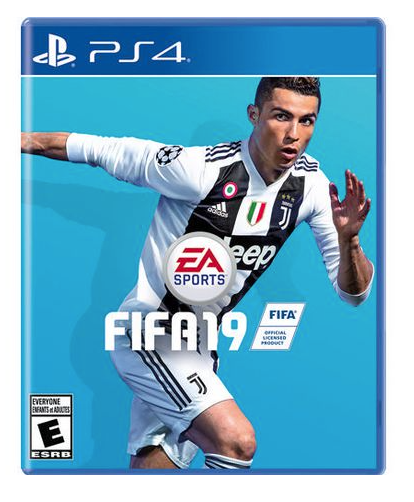 Electronic Arts FIFA 19 (PS4)