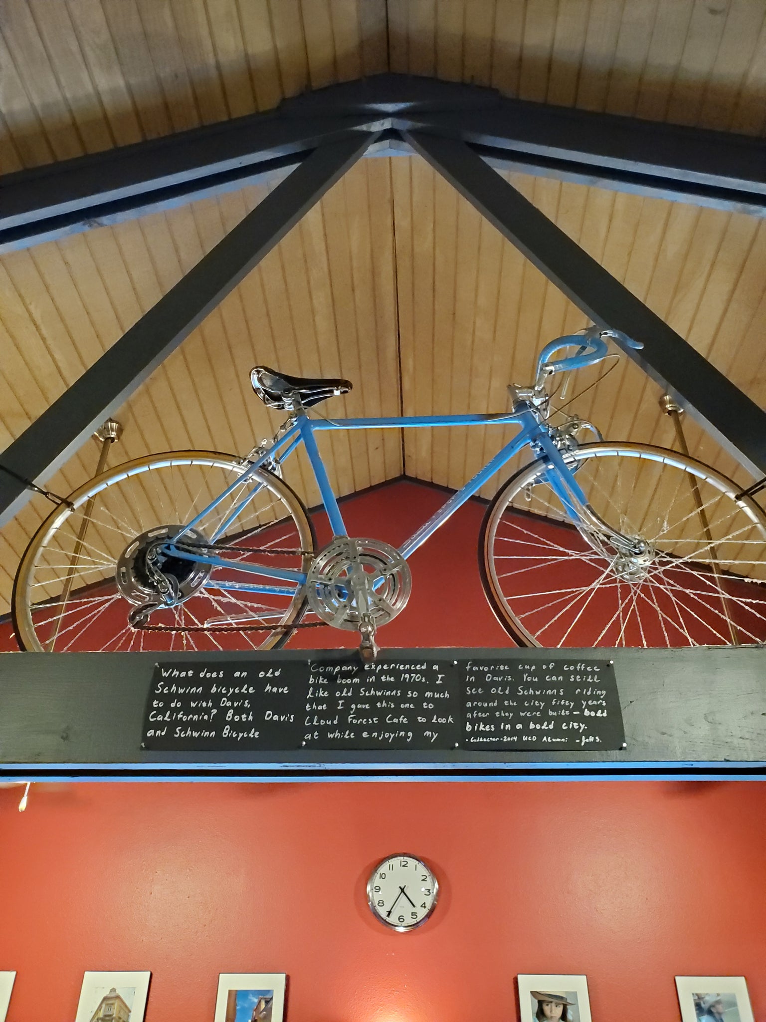 Bicycle at Cloud Forest Cafe