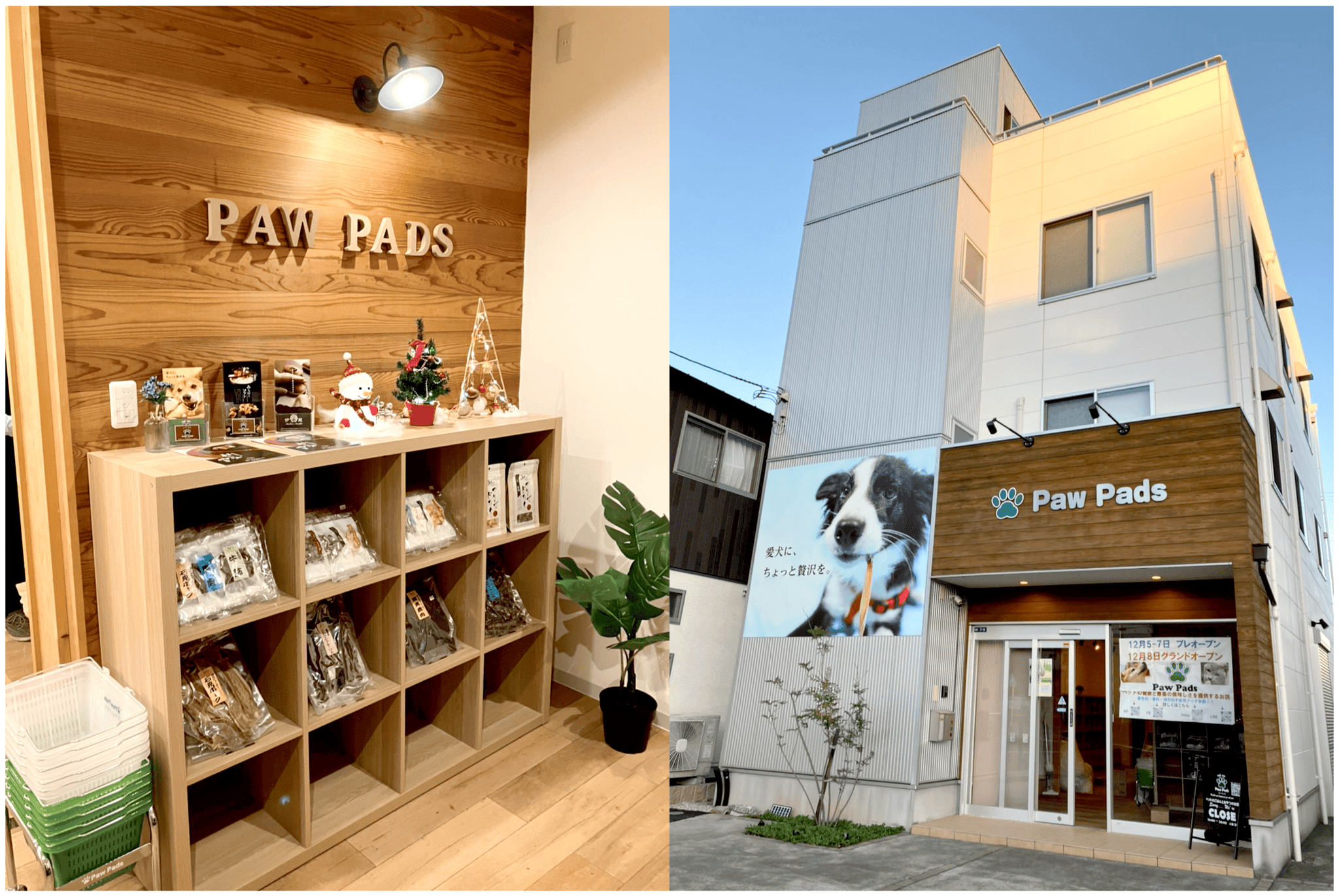 Paw Pads Store