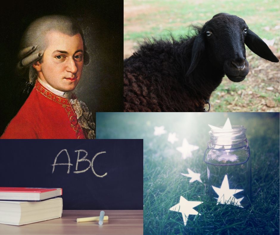 Mozart, black sheep, ABC, Stars 