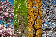 images of 4 different seasons
