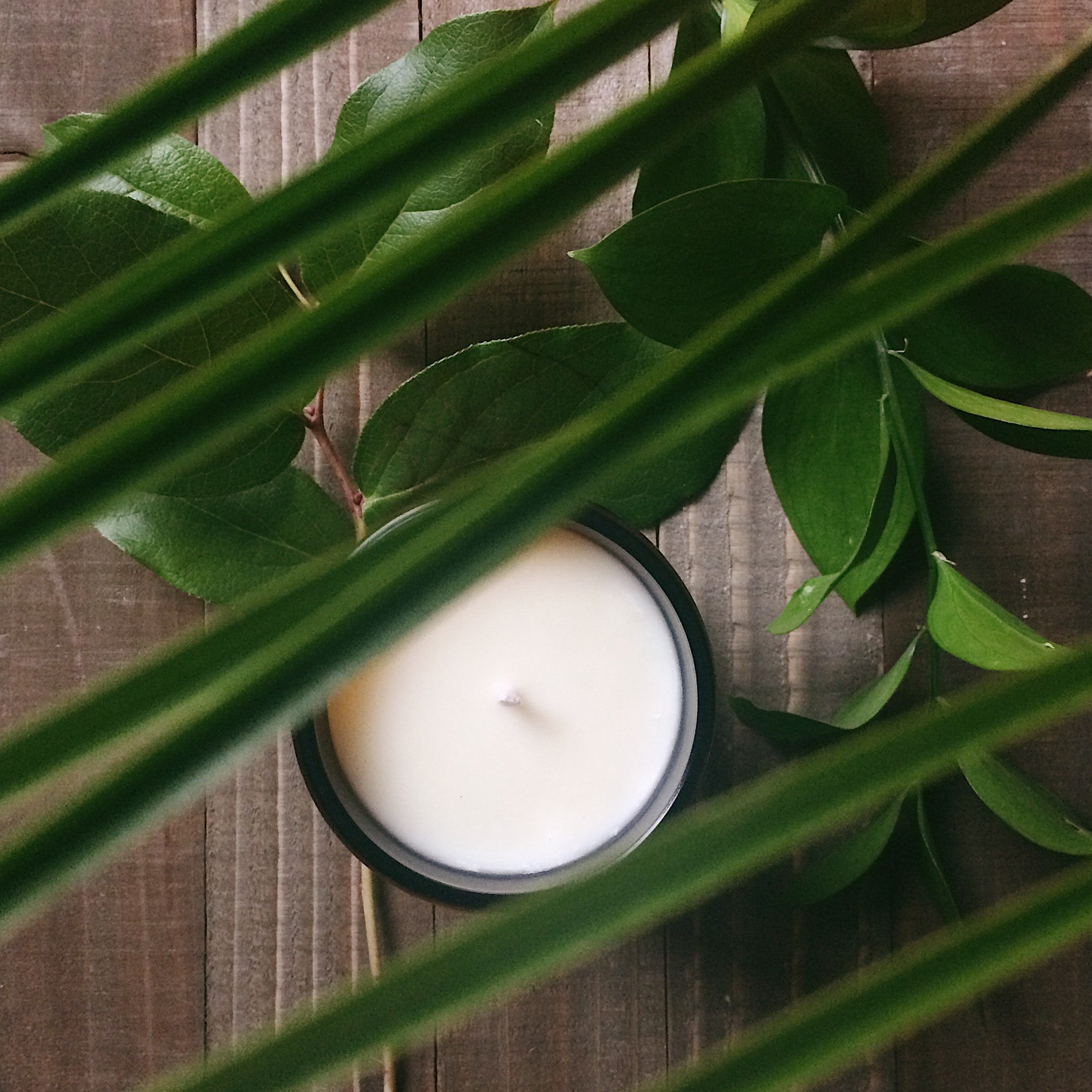 Mimosa - Soy Candle