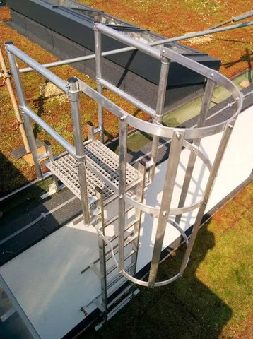 Vertical Access Ladder With Cage & Parapet