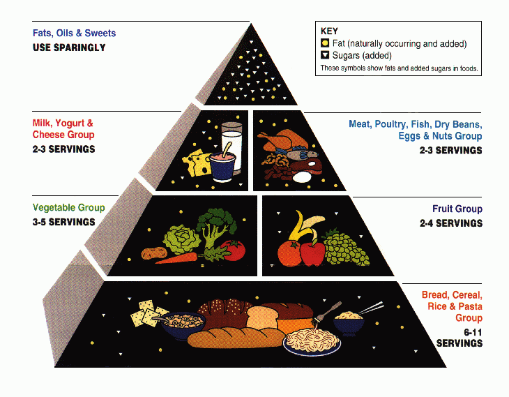 food pyramid nutrition