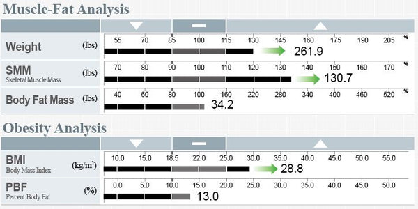 Bmr Chart For