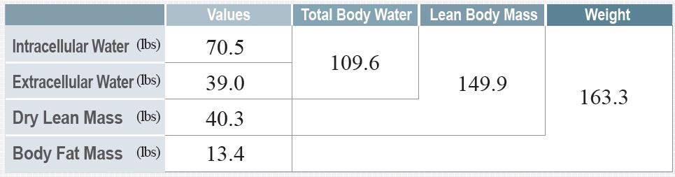 Army Body Fat Percentage Chart