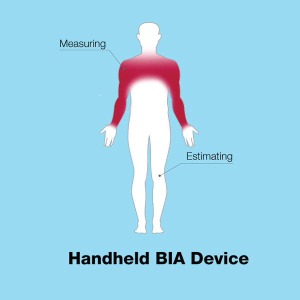 DEXA vs Bioelectrical Impedance Scales: Which is Better?