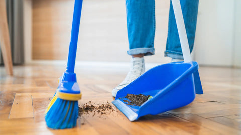 Manually removing millipedes with a broom and dust pan
