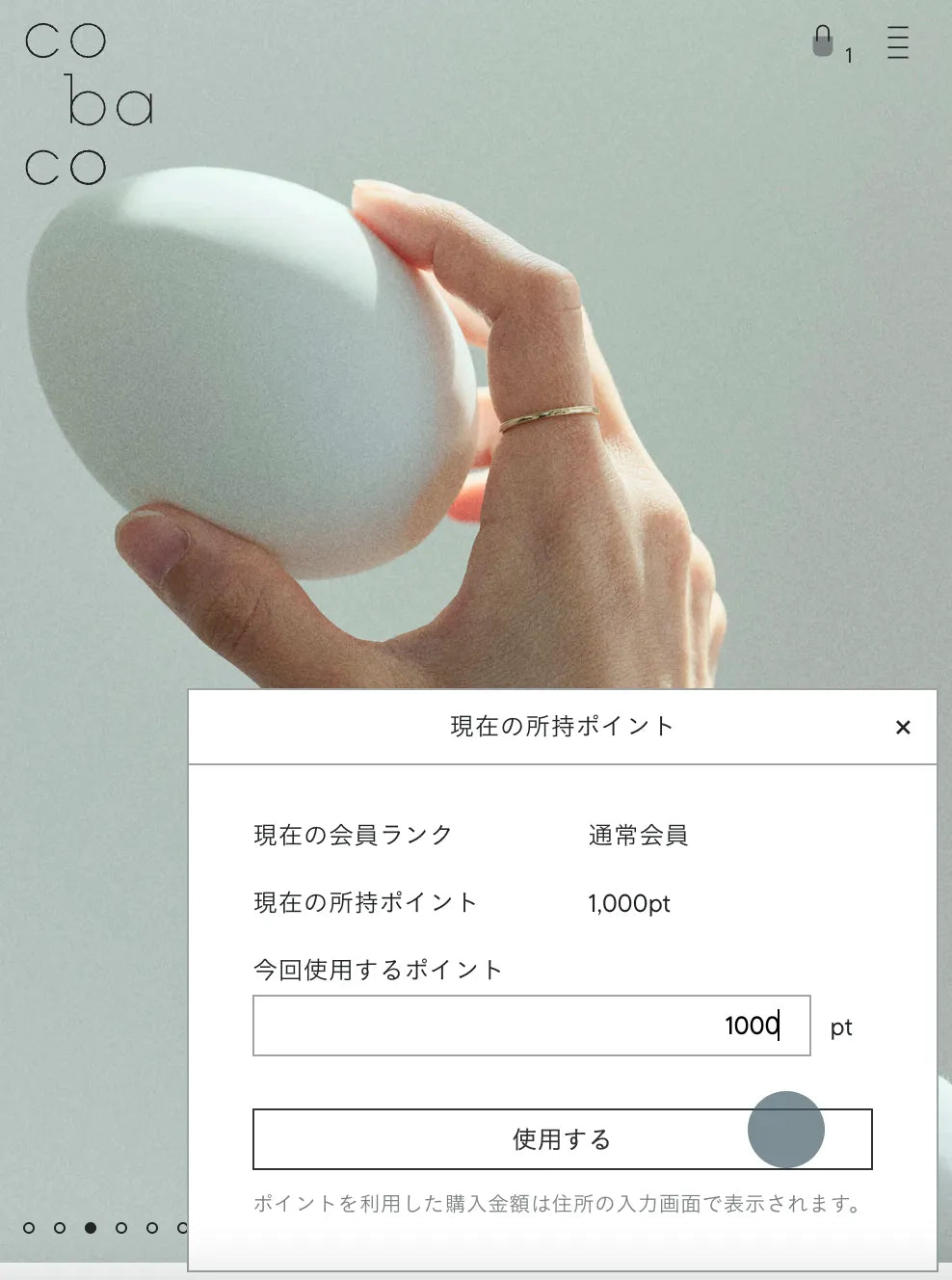 保有ポイントの使い方