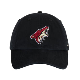 phoenix coyotes hats new era