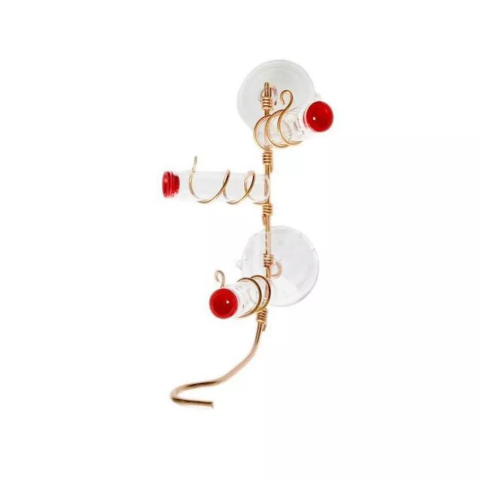 Window Hummingbird Feeder – Easy-Clean Bottles with Suction Cups