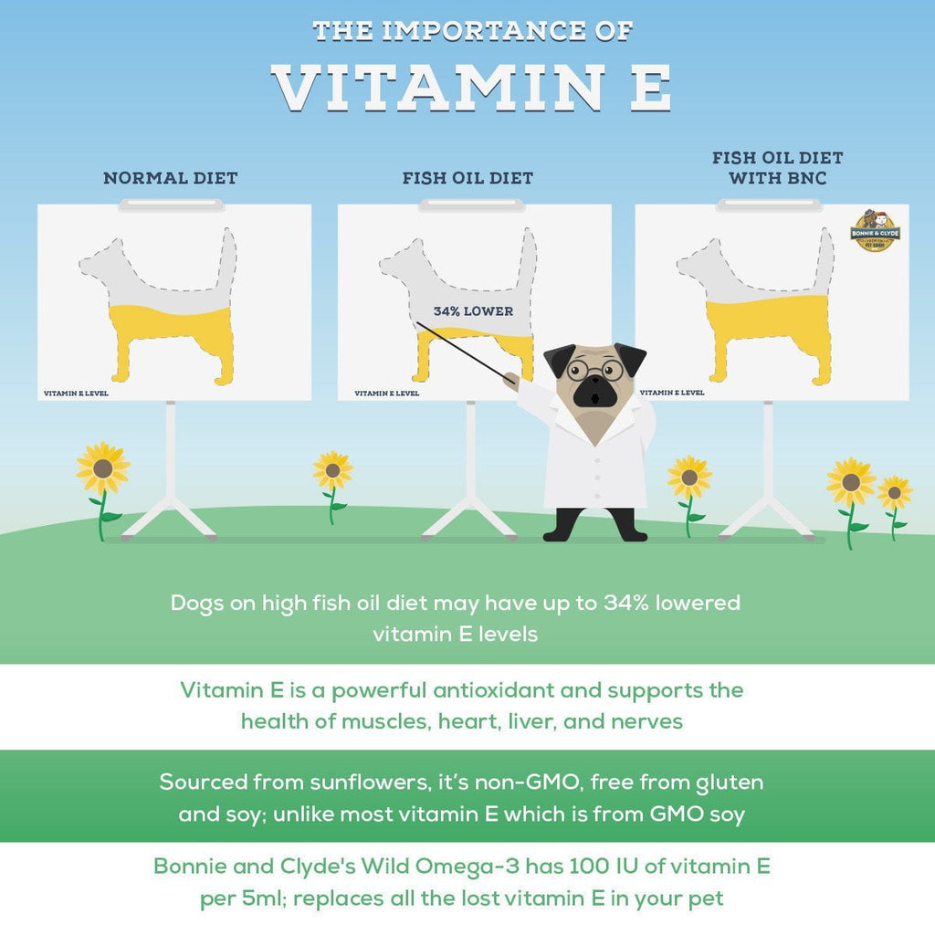 fish oil and vitamin e for dogs