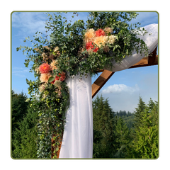 arbor decorated with flowers, hops, and eucalyptus. White gauze swag draped across arbor