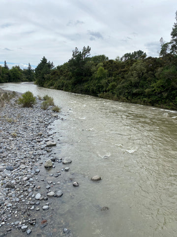 Downstream view from koura street swing bridge