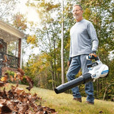Picture of Leaf Blowers & Vacs