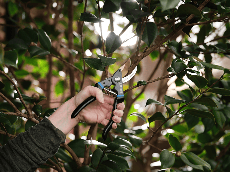 1" Pro Bypass Hand Pruner