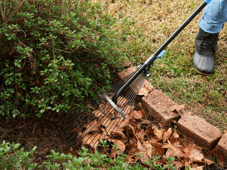 15-Tine Adjustable Leaf Rake