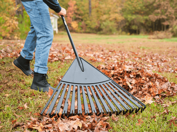 30" Poly Leaf Rake