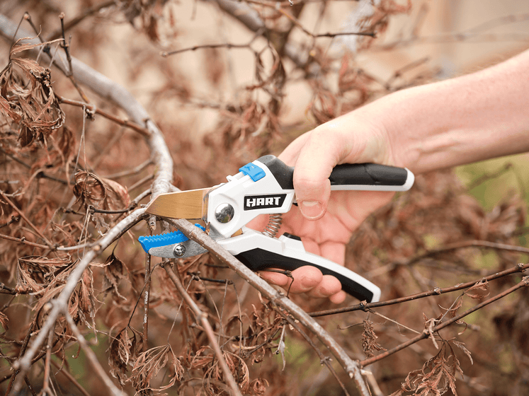 5/8" Anvil Hand Pruner