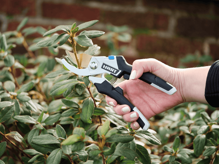 5/8" Bypass Hand Pruner