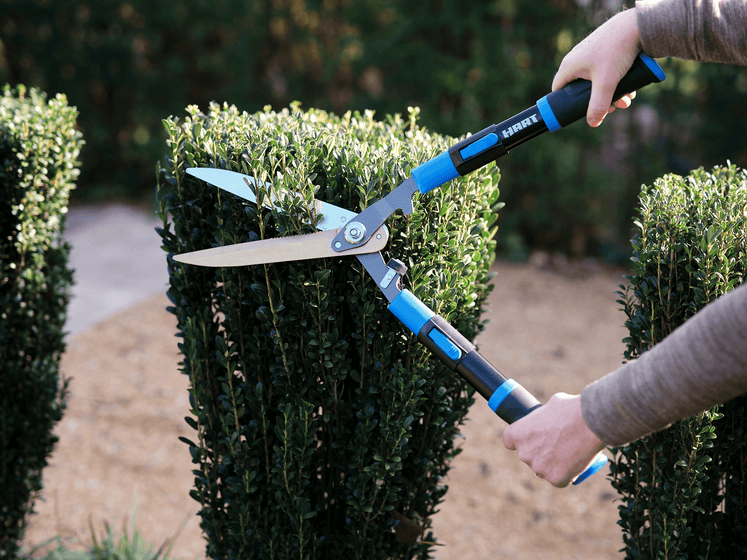 Extendable Compound Hedge Shears