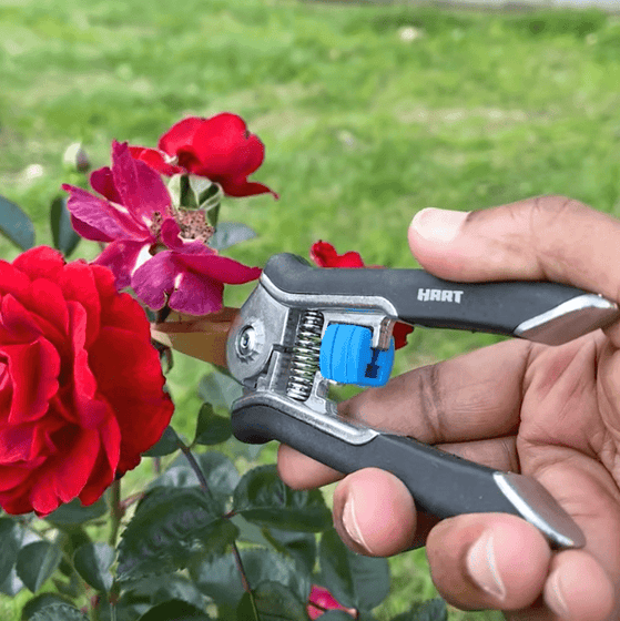 Micro Tip Hand Pruner