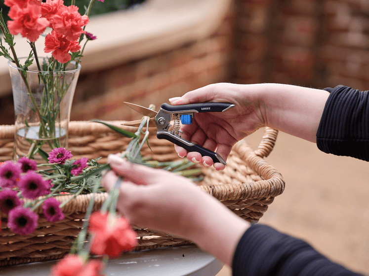 Micro Tip Hand Pruner