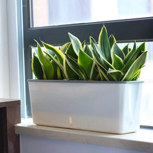 Self-Watering Double Layer Modern Planter Pot - BizzyBargains.com