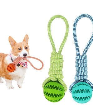 Pet Dog Toys For Large Small Dogs Toy Interactive Cotton Rope Mini Dog –  Dexters Buddies