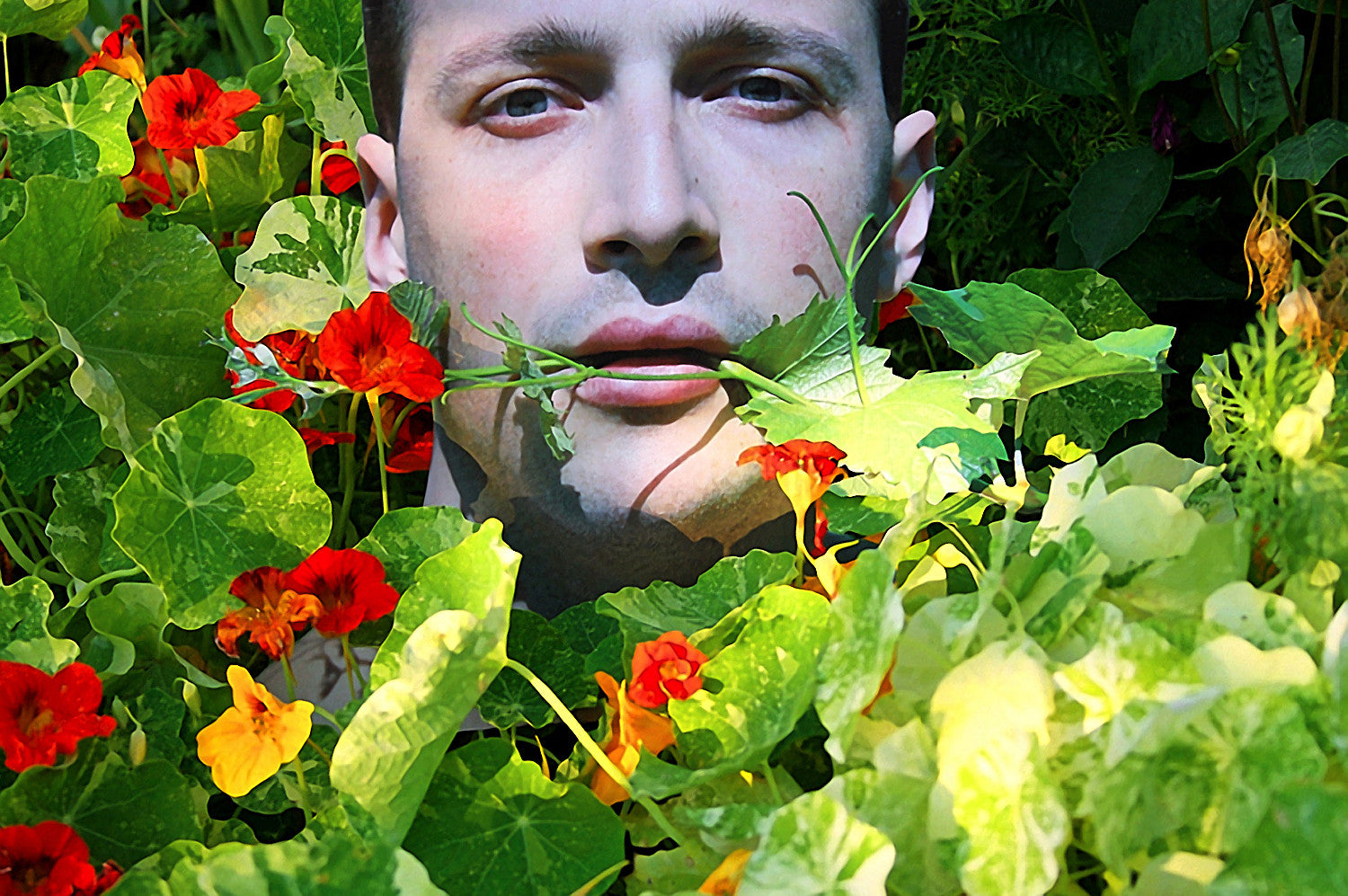 <b>Dan Jalba</b> vine in mouth in Vienna in Monet&#39;s Garden Giverny 2012 - TH_GIV_EB_1